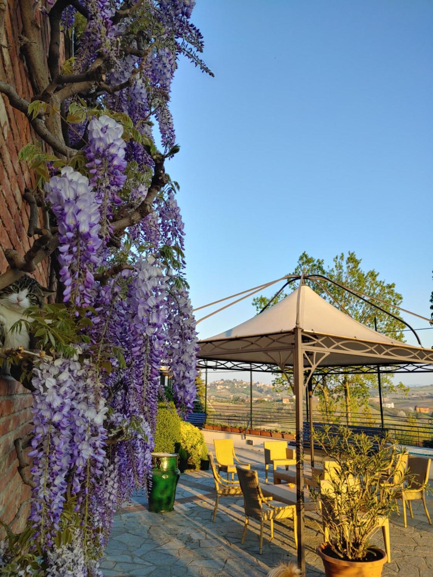 Locanda Del Boscogrande Montegrosso dʼAsti Rum bild