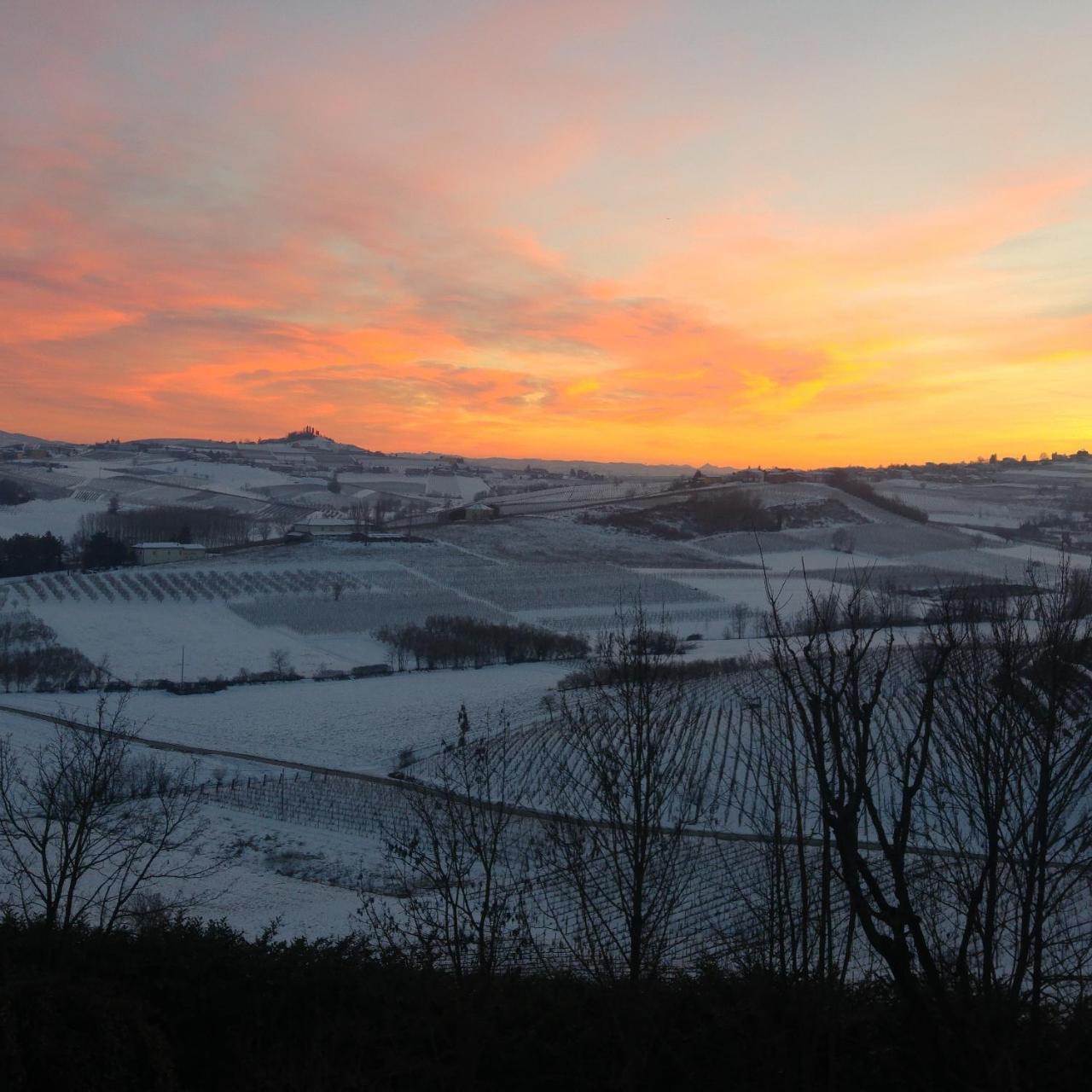 Locanda Del Boscogrande Montegrosso dʼAsti Exteriör bild