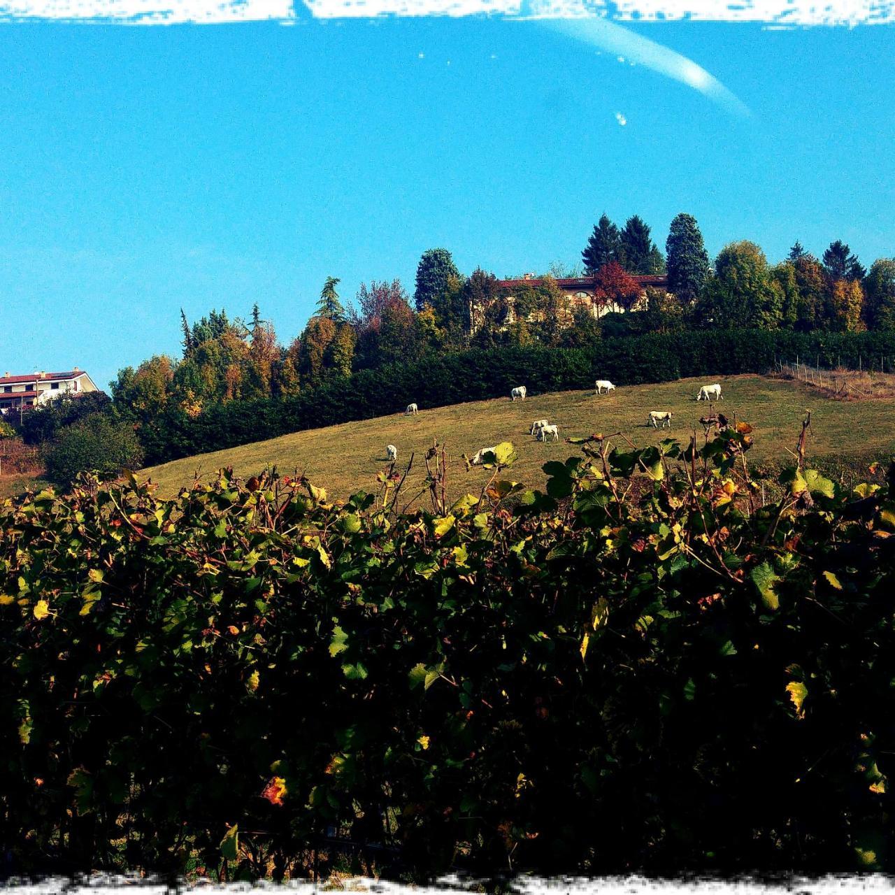 Locanda Del Boscogrande Montegrosso dʼAsti Exteriör bild